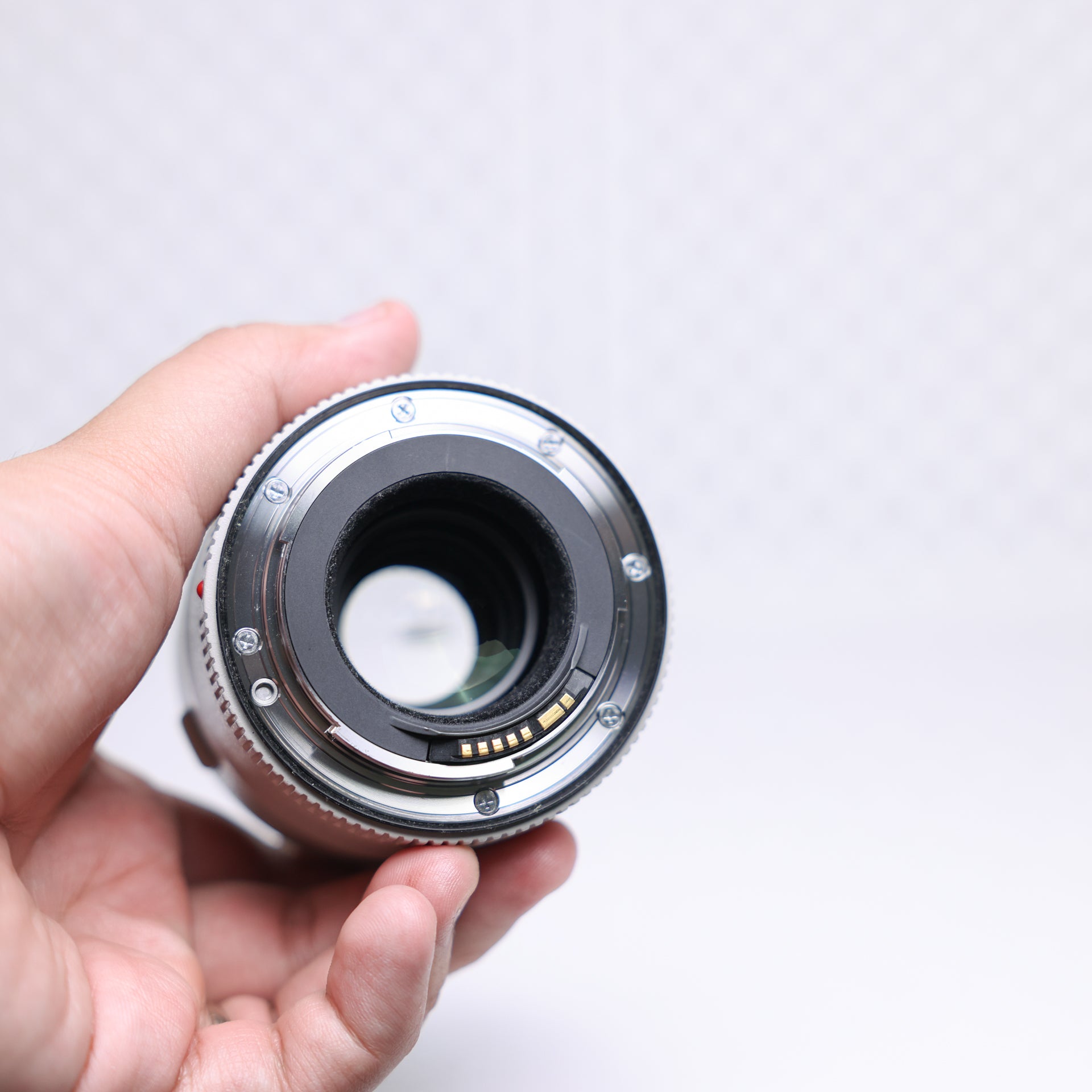Canon Extender EF 2x III Usado | Duplica tu alcance con máxima nitidez