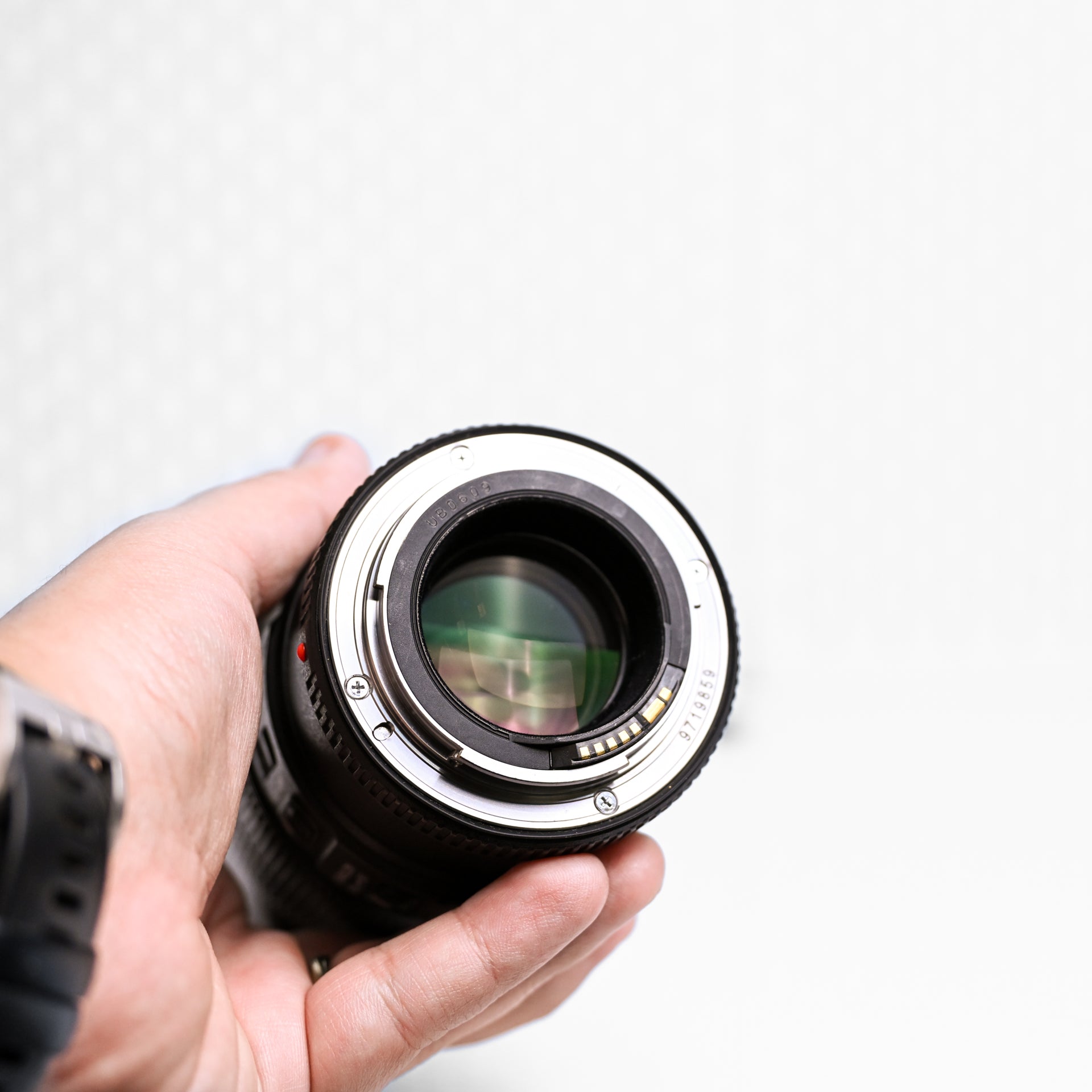 Canon EF 100mm f/2.8L Macro IS USM (Pequeño hongo que no afecta imagen)