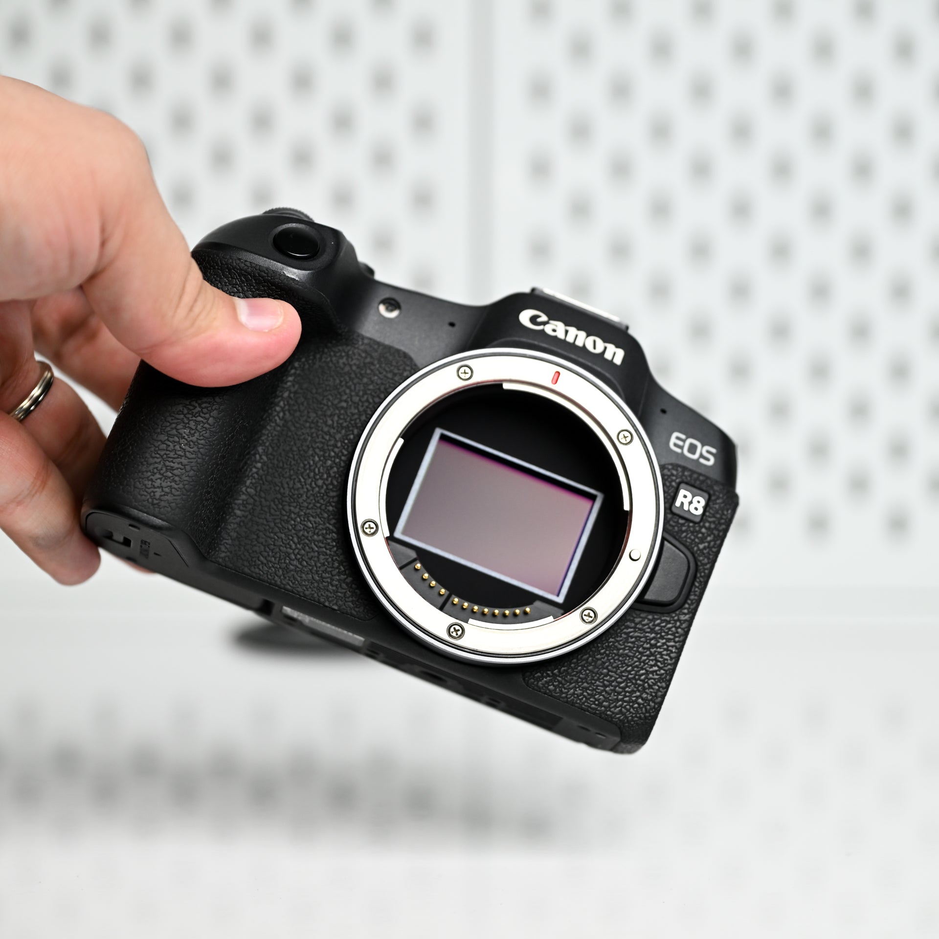 Canon EOS R8 – Solo cuerpo (Usada, impecable)